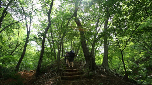 ▲'영상앨범 산' 강릉 바우길(사진제공=KBS 2TV)