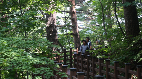 ▲'영상앨범 산' 강릉 바우길(사진제공=KBS 2TV)