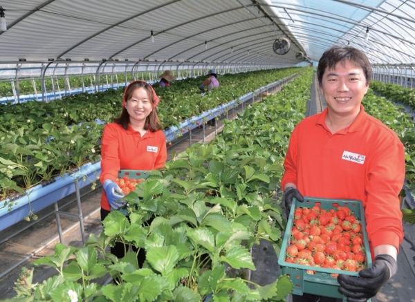 ▲박홍희(오른쪽) 우공의 딸기정원 대표가 자신의 스마트팜 시설에서 수확한 딸기를 들어보이고 있다.
 (사진제공=우공의 딸기정원)