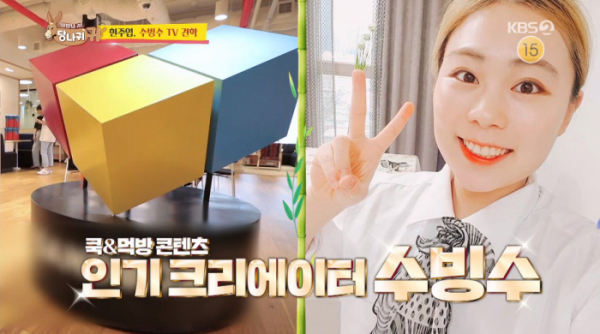 ▲수빙수TV(사진=KBS2 '사장님 귀는 당나귀 귀' 방송화면 캡처)