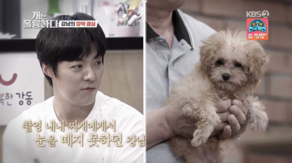▲'개는 훌륭하다'(사진제공=KBS2)