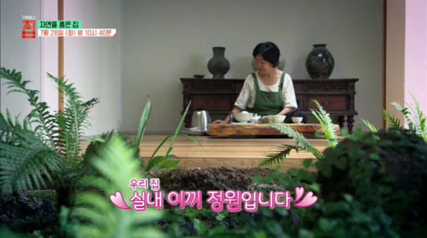 ▲EBS '건축탐구 집' 진주 혁신도시의 이끼 정원 집(사진제공=EBS1)