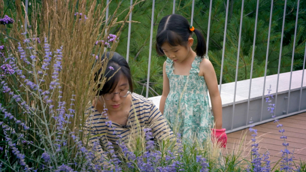 ▲EBS '건축탐구 집' 진주 혁신도시의 이끼 정원 집(사진제공=EBS1)