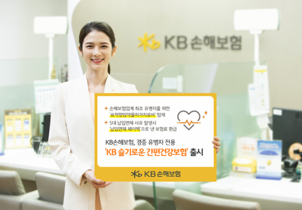 (사진제공=KB손해보험)