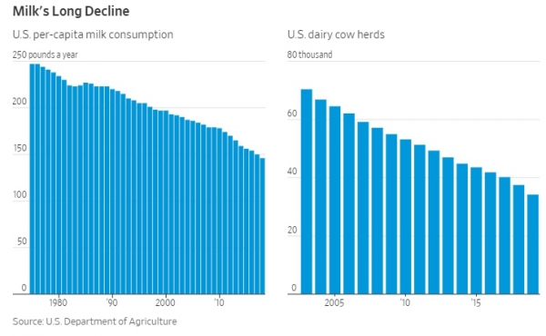 ▲미국의 1인당 우유 소비량과 미국의 젖소 규모. 출처 WSJ
