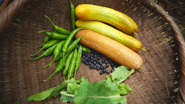 ▲EBS'한국기행' (사진제공=EBS1)