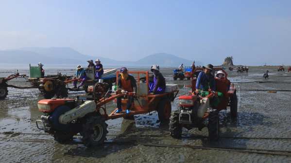 ▲EBS'한국기행' 태안 바지락(사진제공=EBS1)