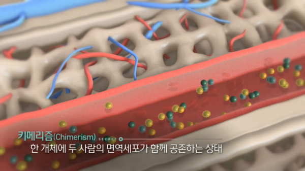 ▲'생로병사의 비밀' 면역관용 치료법(사진제공=KBS1)