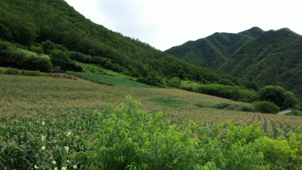 ▲'한국인의 밥상' (사진제공=KBS 2TV)