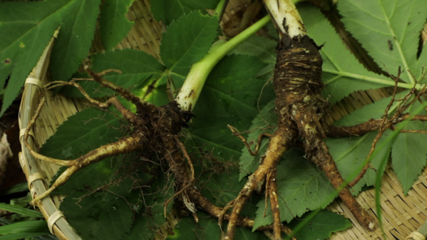 ▲'한국인의 밥상' (사진제공=KBS 2TV)