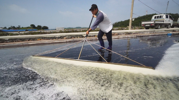 ▲EBS'한국기행' 신안 하의도(사진제공=EBS1)