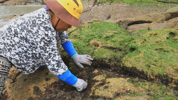 ▲EBS'한국기행' 신안 하의도(사진제공=EBS1)