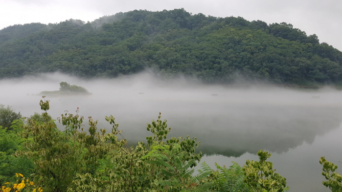 (사진 이명애 시니어기자 )