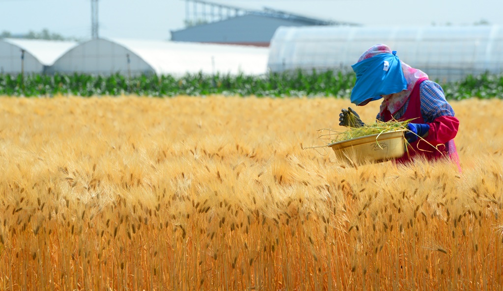 ▲충북도 농업기술원. (뉴시스)