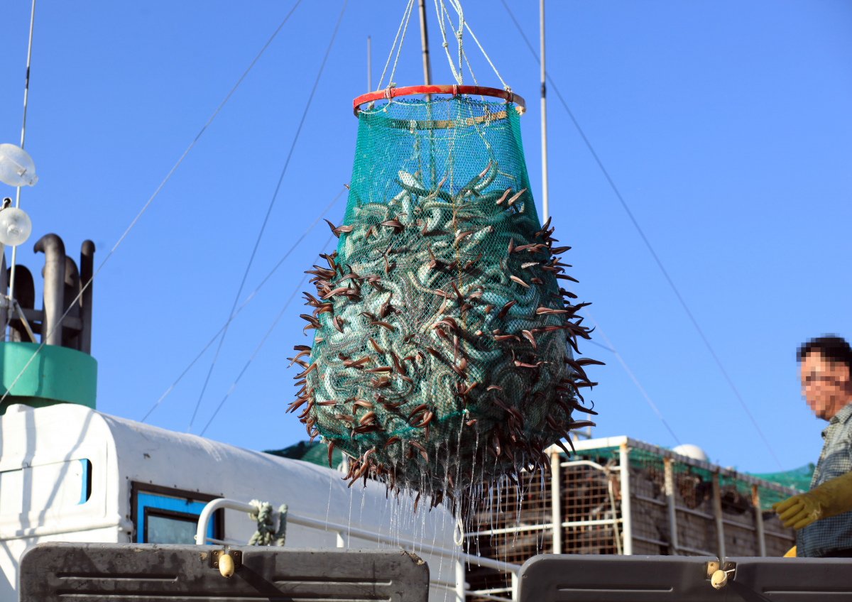 (사진제공=이마트)