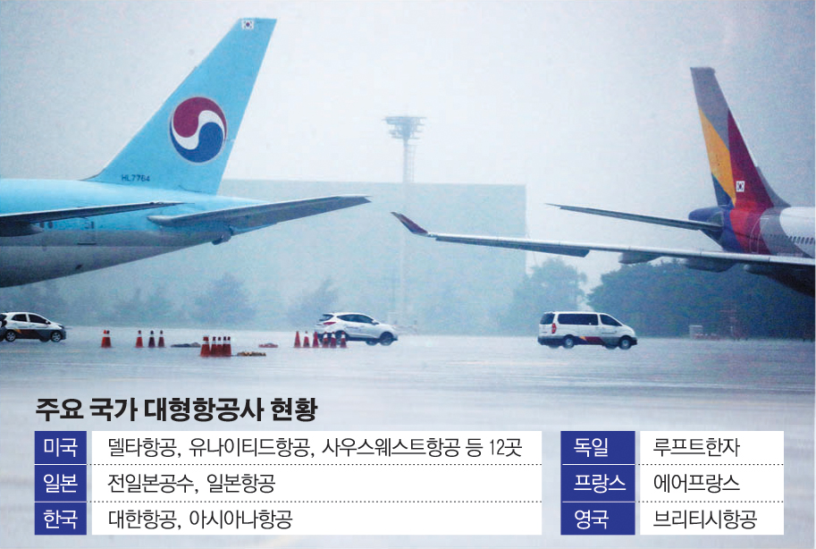 (그래픽=손미경 기자 sssmk@)