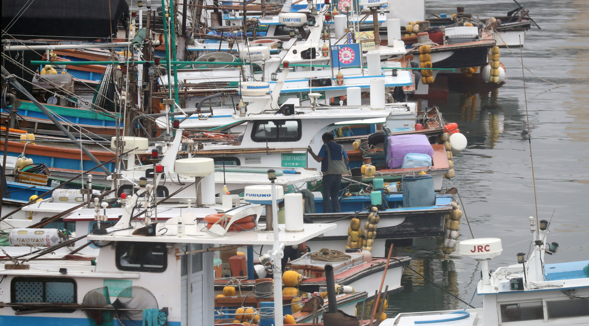 ▲5호 태풍 '장미' 상륙을 앞둔 10일 오후 경남 통영시 강구안 일대에 피항한 선박이 가득하다. (연합뉴스)