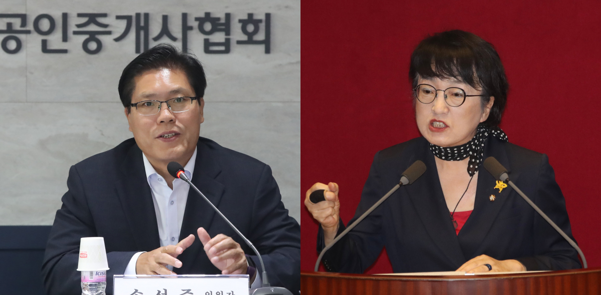 ▲송석준(왼쪽) 미래통합당 의원과 김진애 열린민주당 의원. (뉴시스)