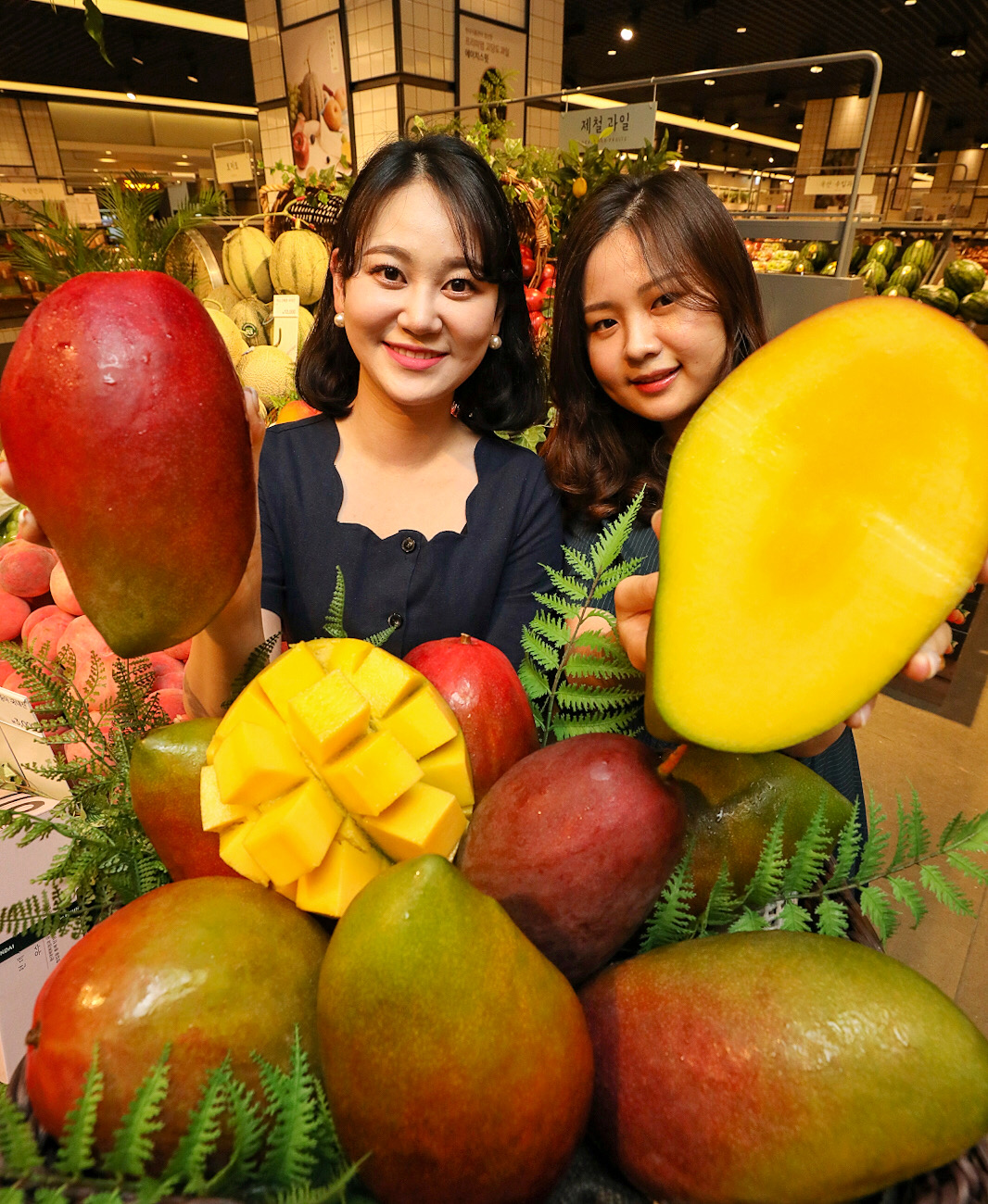 ▲11일 오전 현대백화점 무역센터점 지하 1층 현대식품관에서 직원들이 한정수량으로 선보이는 '흑망고'를 소개하고 있다.  (사진제공=현대백화점)