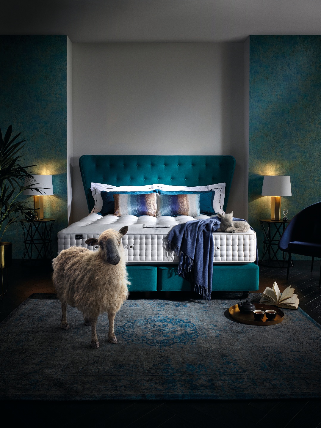 (사진제공=알레르망)