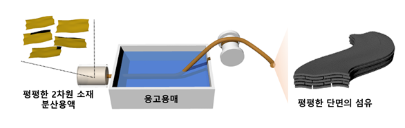 ▲2차원 소재의 자발적 평탄화 현상을통해 제조되는 납작한 그래핀 섬유제작과정 모식도 (카이스트 제공)