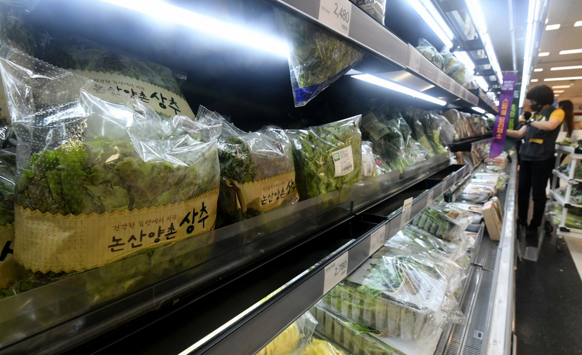 ▲긴 장마로 채솟값이 폭등하는 가운데 서울의 한 대형마트 신선식품 판매대에서 시민들이 장을 보고 있다. 신태현 기자 holjjak@