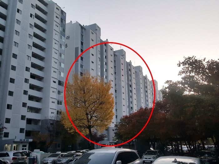 ▲서울 노원구 중계동 505 상아. (사진 제공=지지옥션)