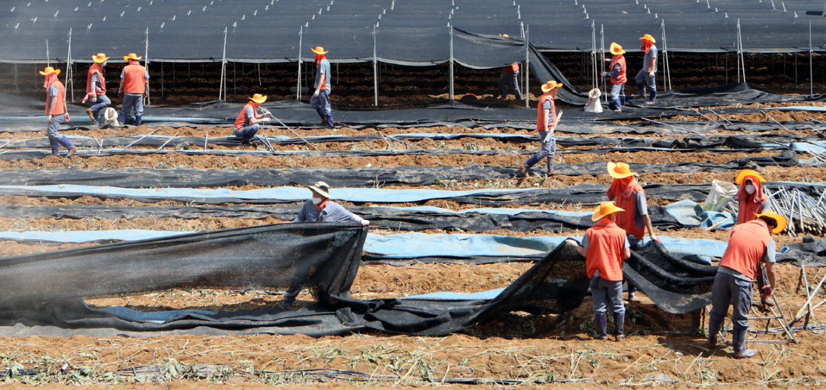 ▲한국타이어앤테크놀로지가 13~14일 이틀 간 집중호우로 피해를 입은 충남 금산군 제원면 일대에서 수해복구 봉사활동을 진행했다. (사진제공=한국타이어)