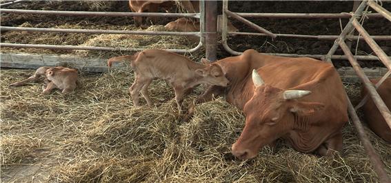 ▲'다큐멘터리 3일' 구례(사진제공=KBS 2TV)