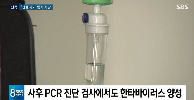 (출처=SBS 8시 뉴스 캡처)