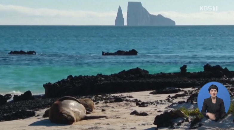 (출처=kbs1 방송화면 캡처)