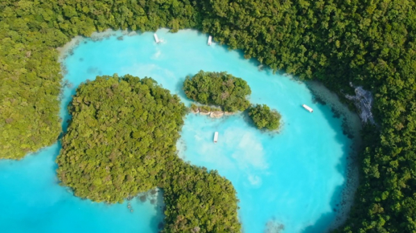 ▲'걸어서 세계속으로' 타히티, 북마리아나 제도, 팔라우(사진제공=KBS 1TV)