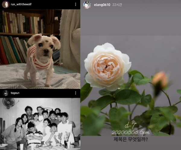▲디어클라우드(사진제공= 나인, 이랑, 토근 인스타그램)