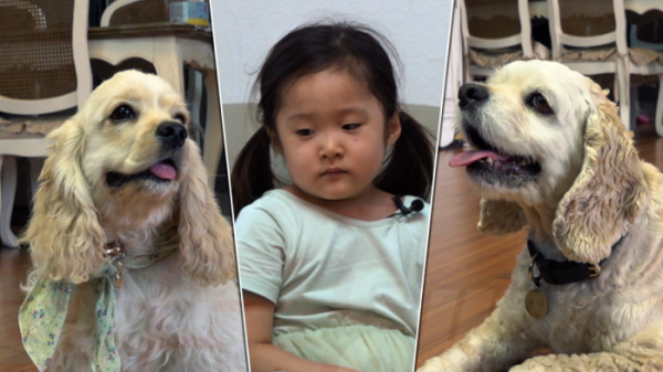 ▲'세상에 나쁜 개는 없다' 코카 스파니엘 남매(사진제공=EBS1)