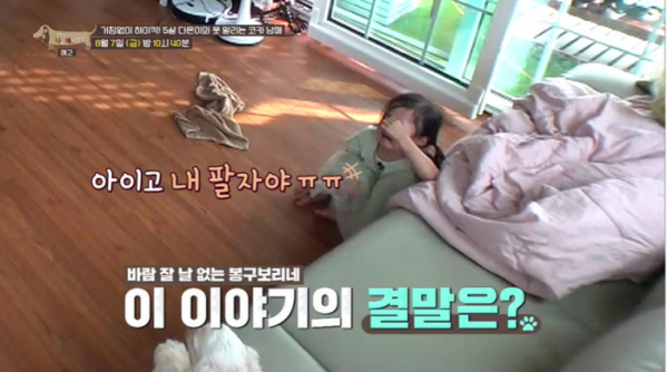 ▲'세상에 나쁜 개는 없다' 코카 스파니엘 남매(사진제공=EBS1)