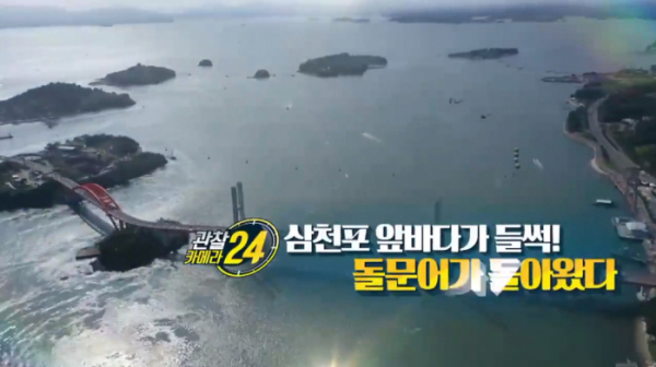 ▲'관찰카메라24' 돌문어(사진제공=채널A)