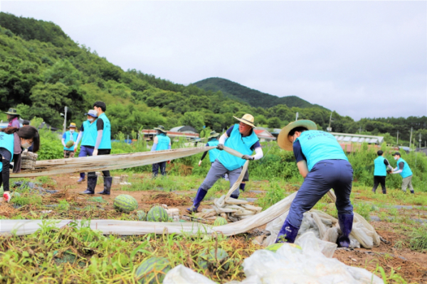 ▲김종훈 농림축산식품부 기획조정실장을 비롯한 직원 150여 명이 12일 전남 진안군과 충남 공주, 충북 제천에서 집중호우 피해 농가를 찾아 일손을 돕고 있다. (사진제공=농림축산식품부)