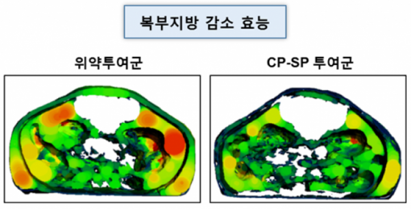 ▲CP-SP의 비만 치료효능(복부지방 감소: 붉은색이 지방) (자료제공=셀리버리)
