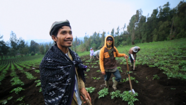 ▲'세계테마기행' 인도네시아(사진제공=EBS1)