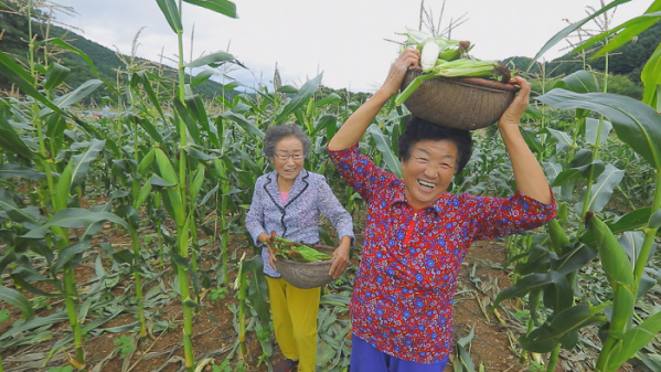 ▲EBS'한국기행'(사진제공=EBS1)