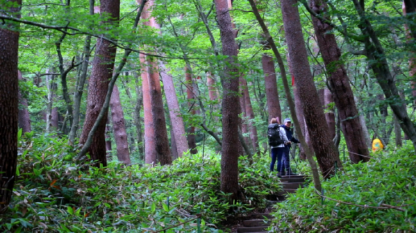 ▲'영상앨범 산' 제주 한라산 국립공원(사진제공=KBS 2TV)