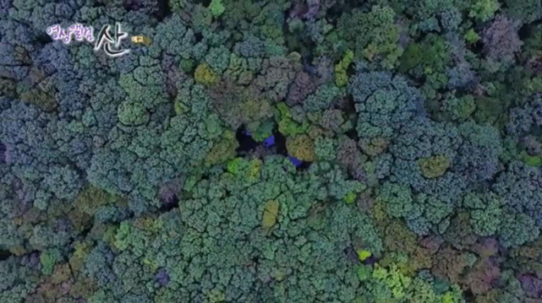 ▲'영상앨범 산' 제주 한라산 국립공원(사진제공=KBS 2TV)