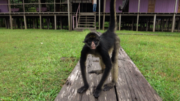 ▲EBS '세계테마기행' 페루(사진제공=SBS)