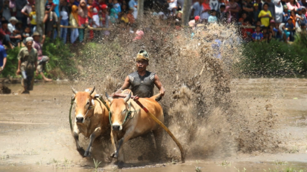 ▲'세계테마기행' 인도네시아(사진제공=EBS1)