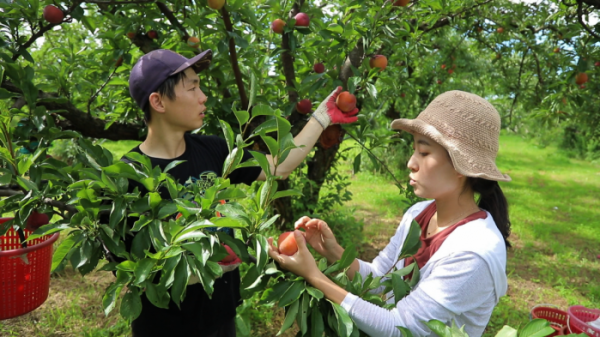 ▲EBS'한국기행'(사진제공=EBS1)