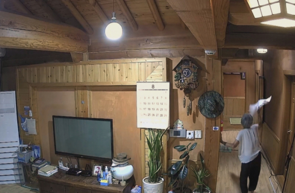 ▲'순간포착 세상에 이런 일이' 박쥐(사진제공=SBS)