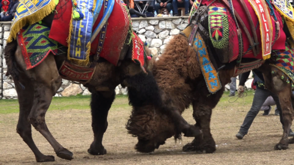 ▲EBS'세계테마기행' 터키(사진제공=EBS1)