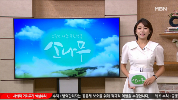 ▲'MBN' 소나무(사진제공=MBN)