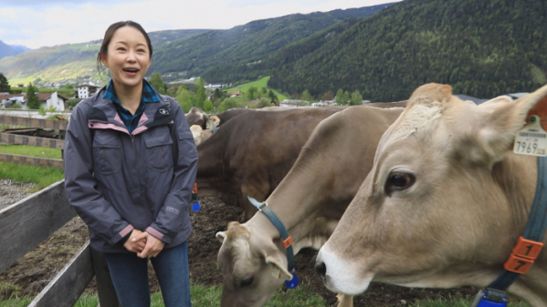 ▲EBS'세계테마기행' 알프스(사진제공=EBS1)