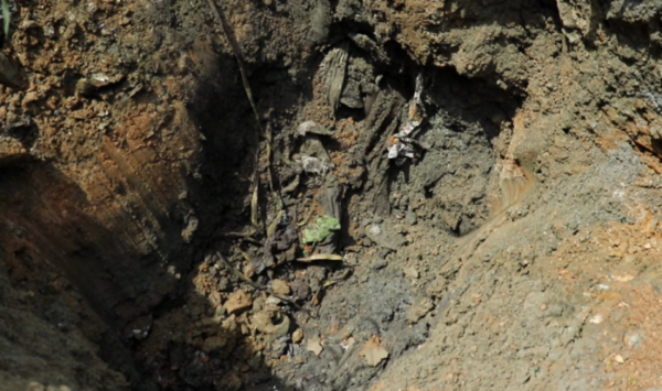 ▲'제보자들'(사진제공=KBS 2TV)